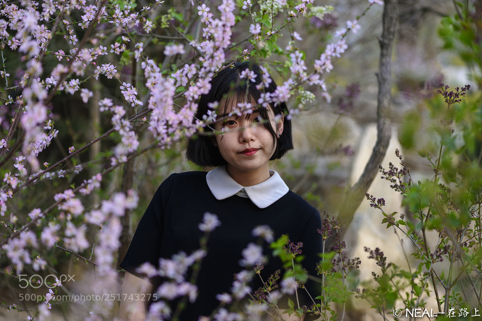 Nikon Df sample photo. Girl in spring photography