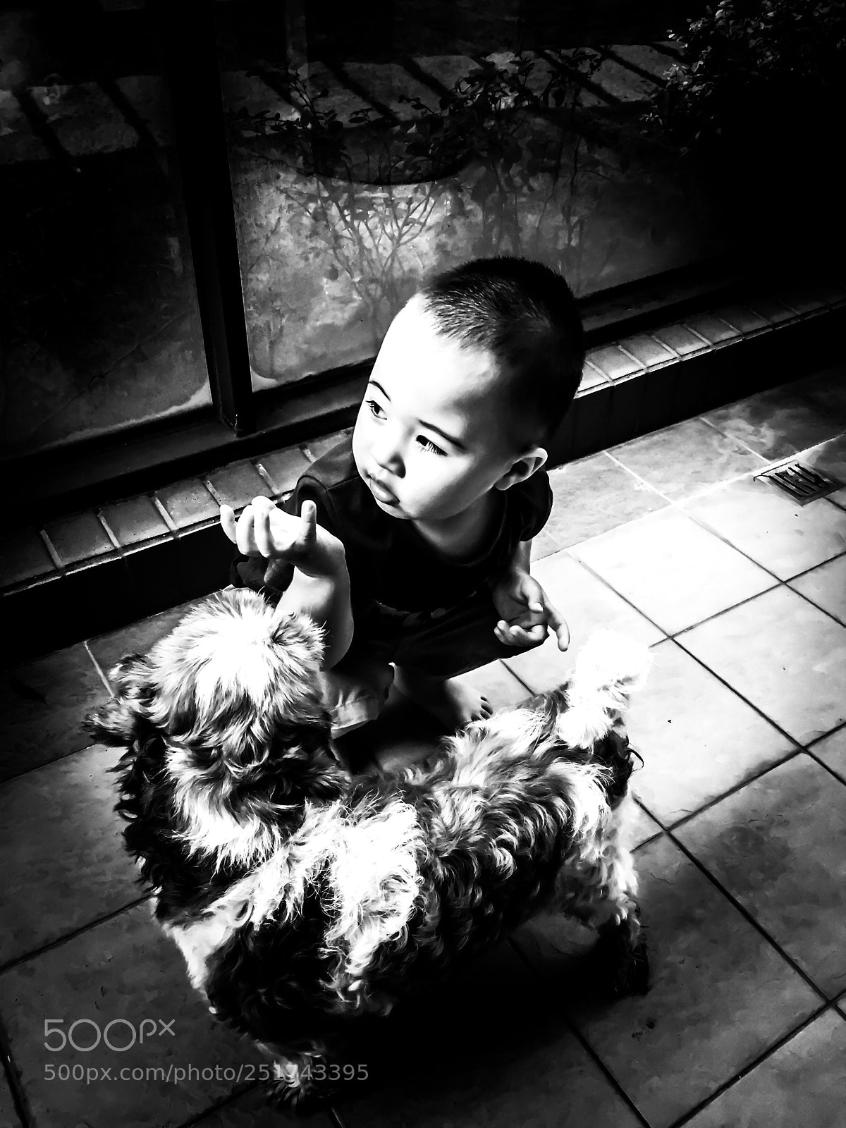 Apple iPhone 6 sample photo. Untitled photography
