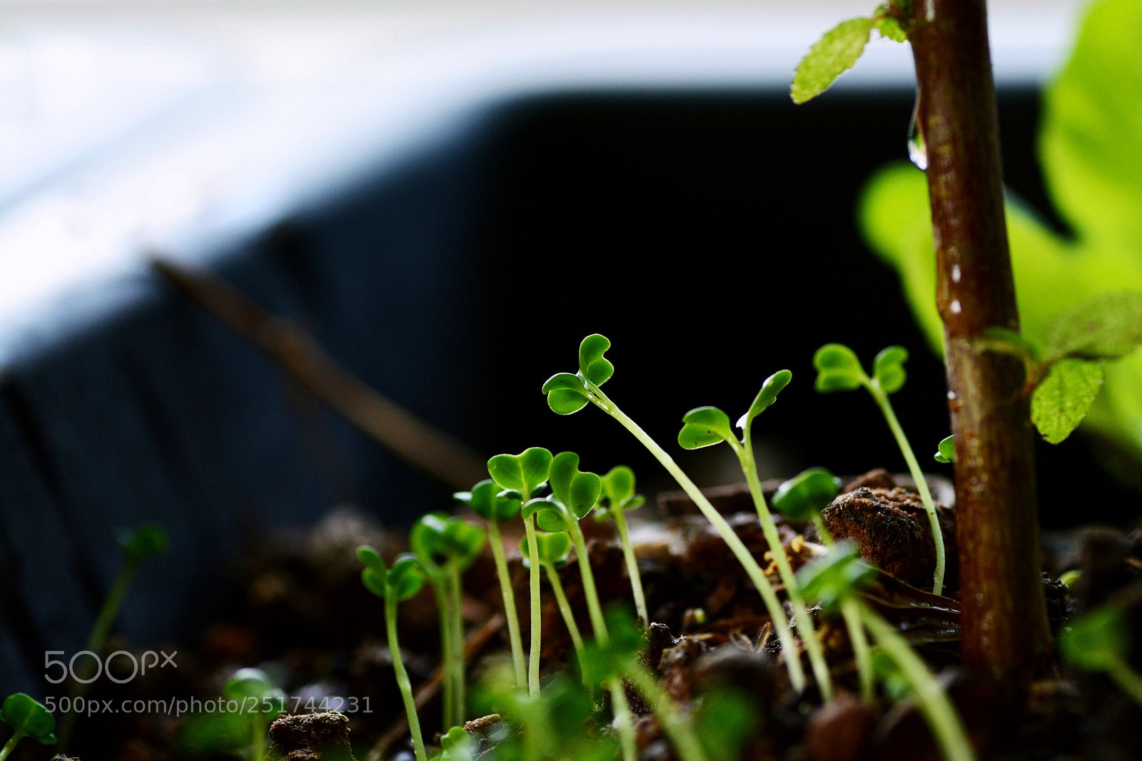 Nikon D7100 sample photo. Untitled photography