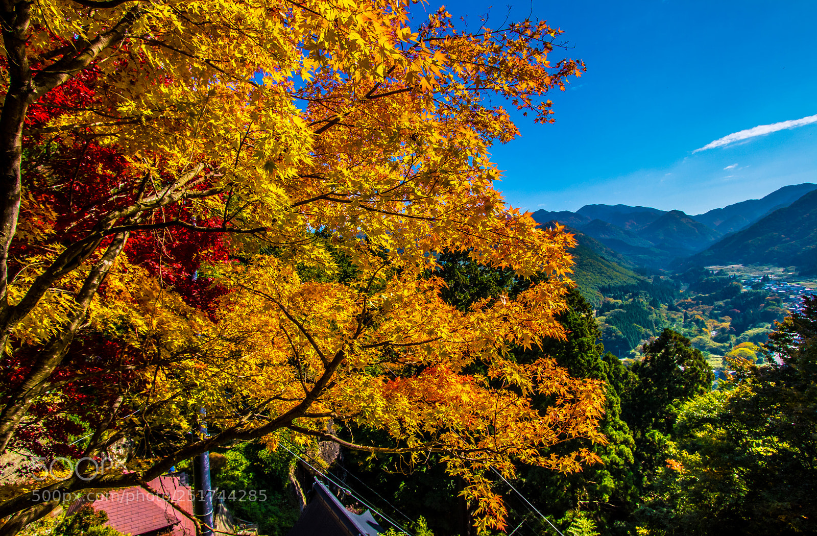 Canon EOS 77D (EOS 9000D / EOS 770D) sample photo. Colorful autumn photography