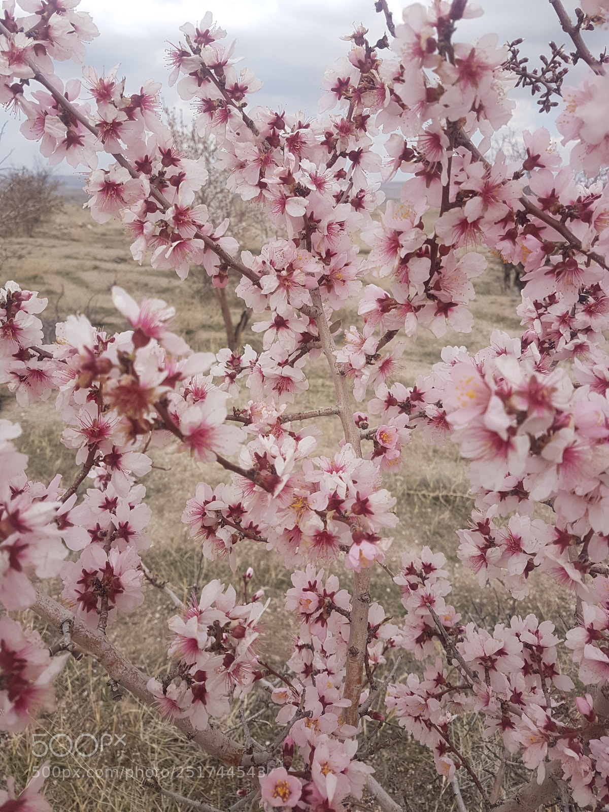 Samsung Galaxy S7 Edge sample photo. Untitled photography