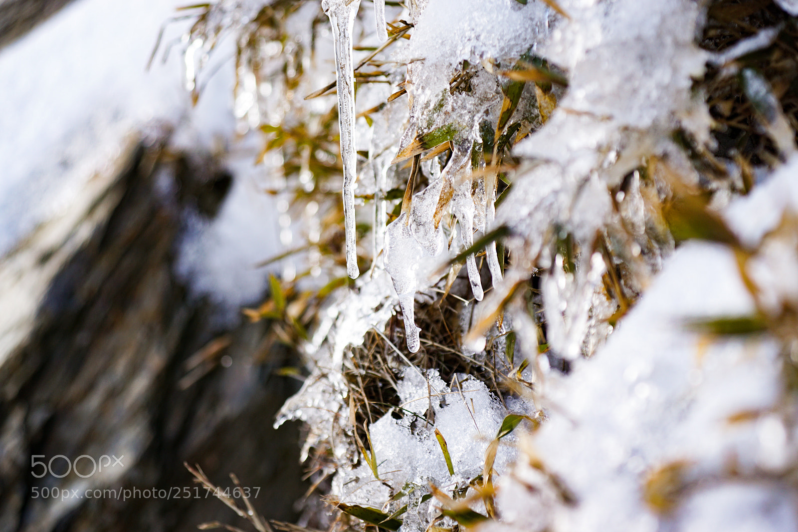 Sony ILCA-77M2 sample photo. Icicle photography