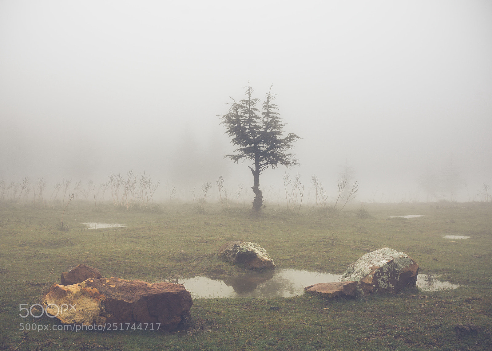 Nikon D7100 sample photo. Small misty landscape photography
