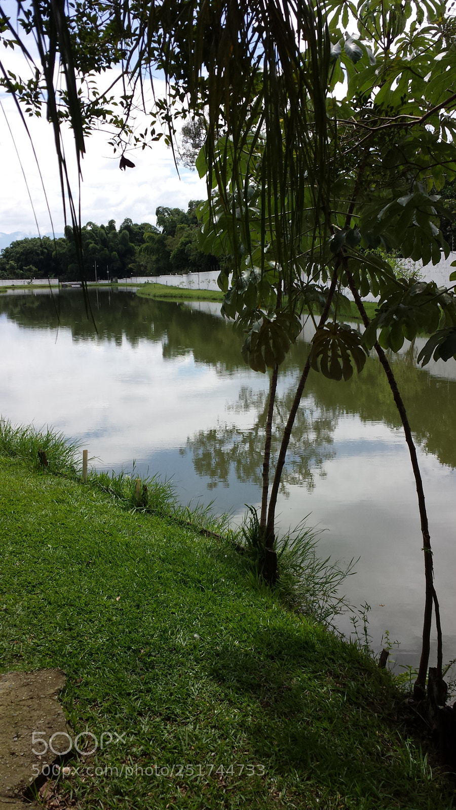 Samsung Galaxy S4 sample photo. Untitled photography
