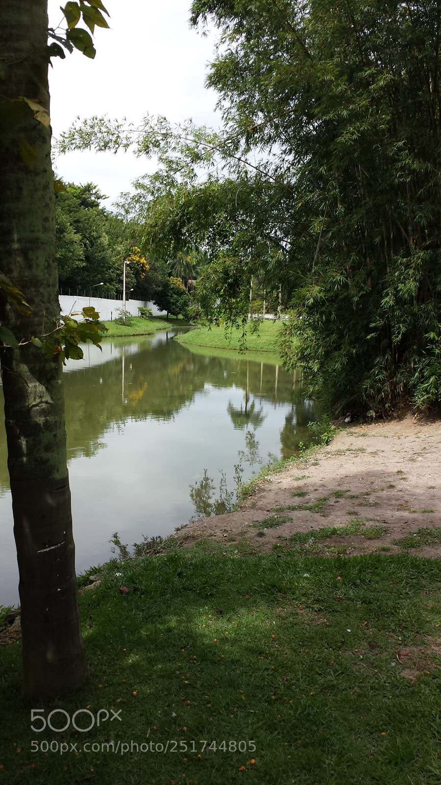 Samsung Galaxy S4 sample photo. Untitled photography
