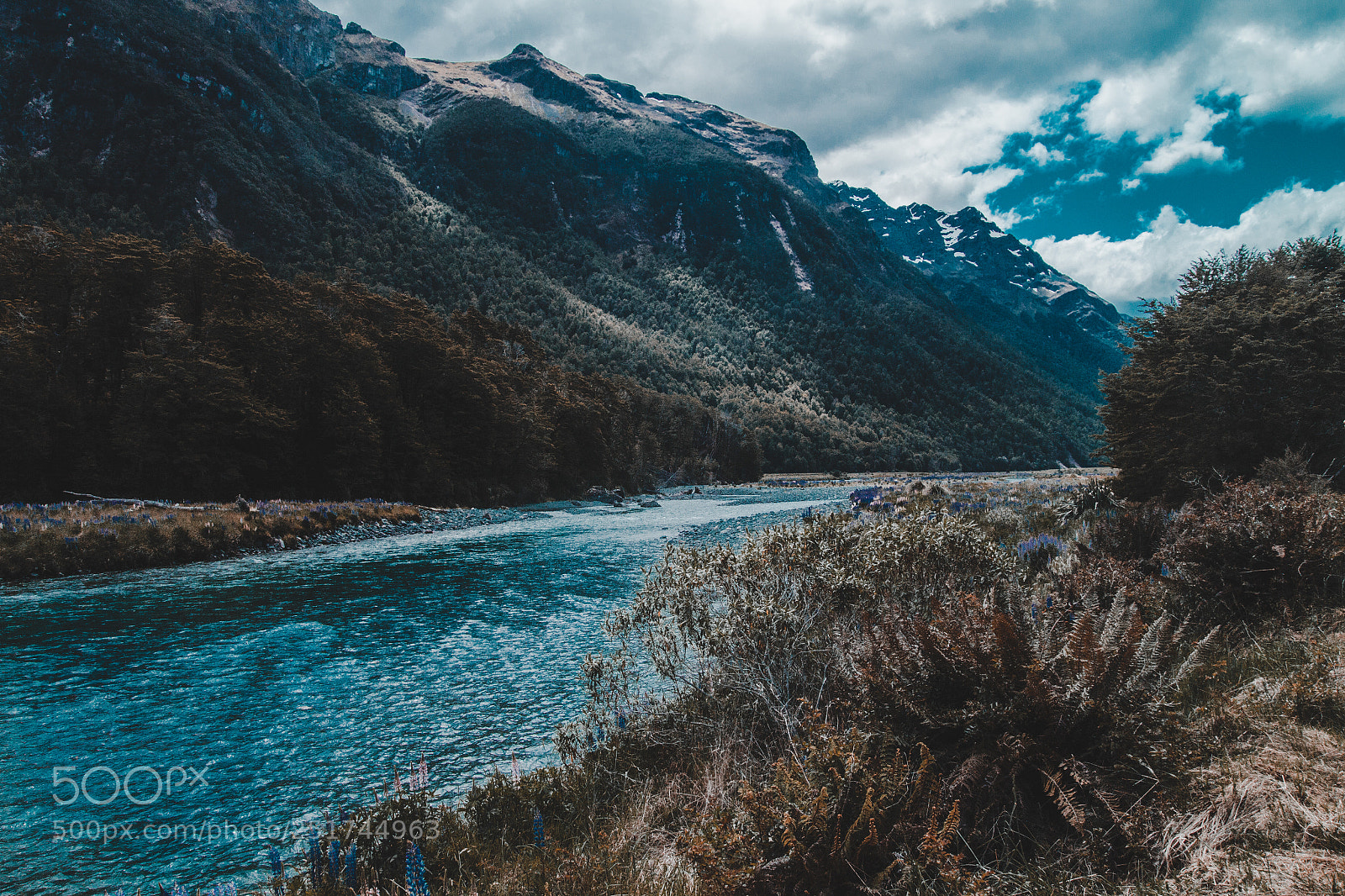 Canon EOS 60D sample photo. Calm streams of christchurch photography