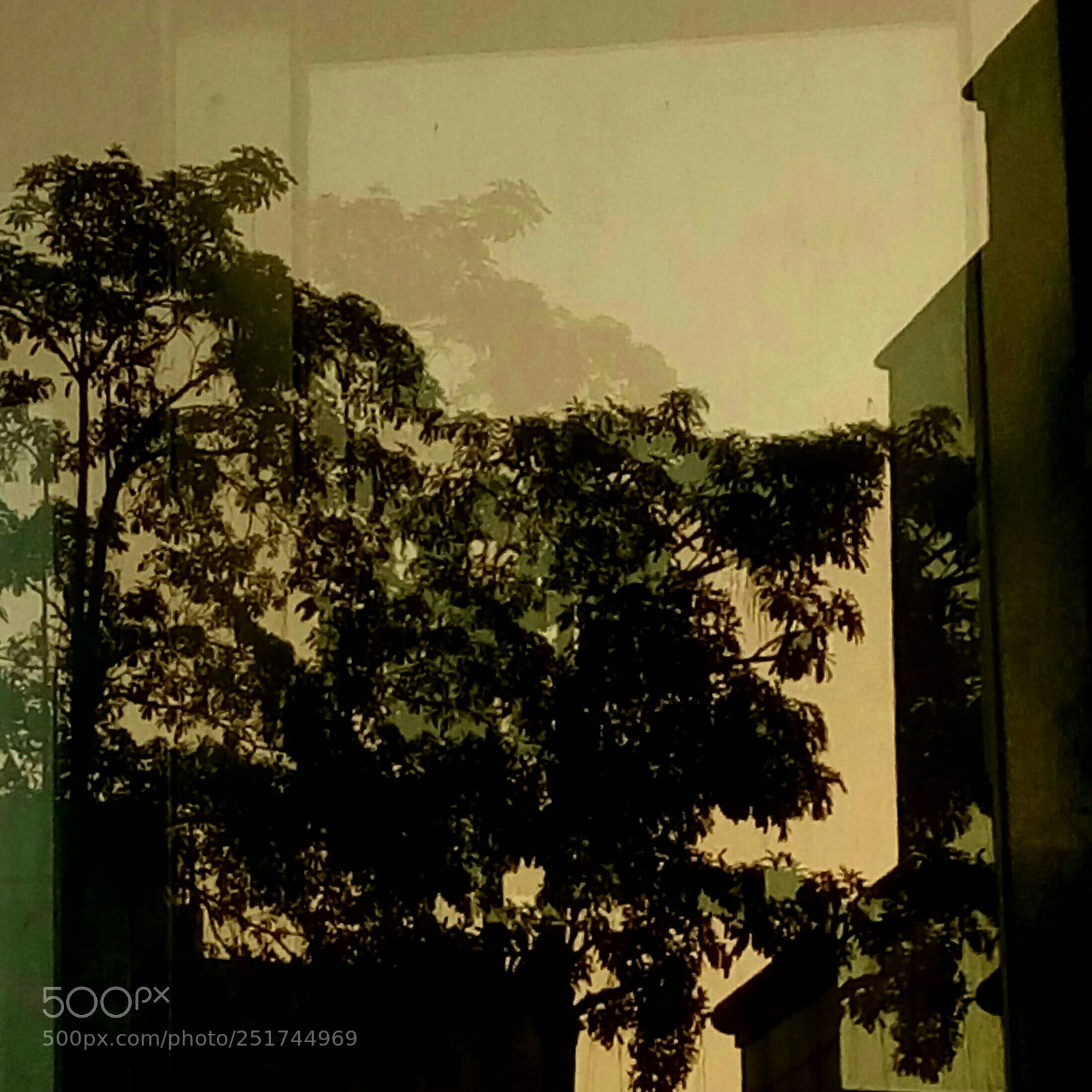 HTC D728X sample photo. Untitled photography