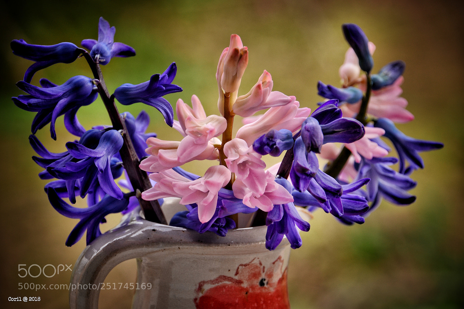 Nikon D3100 sample photo. Untitled photography
