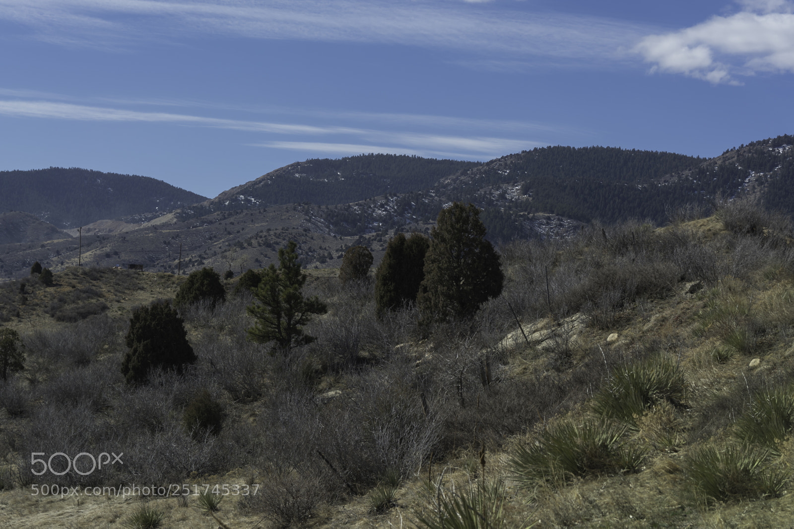 Nikon D7100 sample photo. Untitled photography