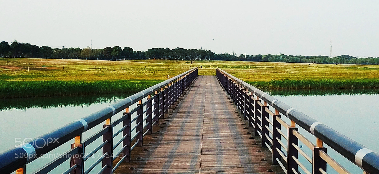 Xiaomi MIX 2 sample photo. Bridge & field photography
