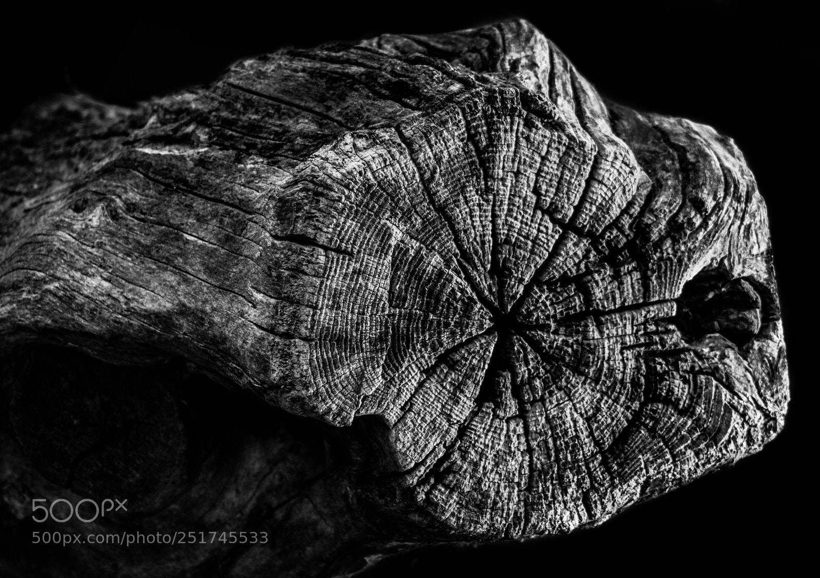 Nikon D3300 sample photo. Wood | elements photography