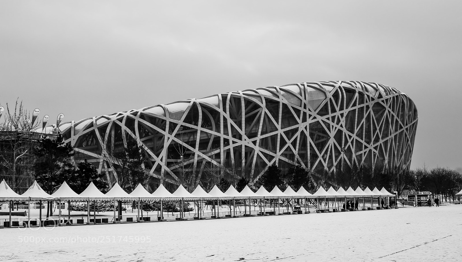 Canon EOS 60D sample photo. Bird nest photography
