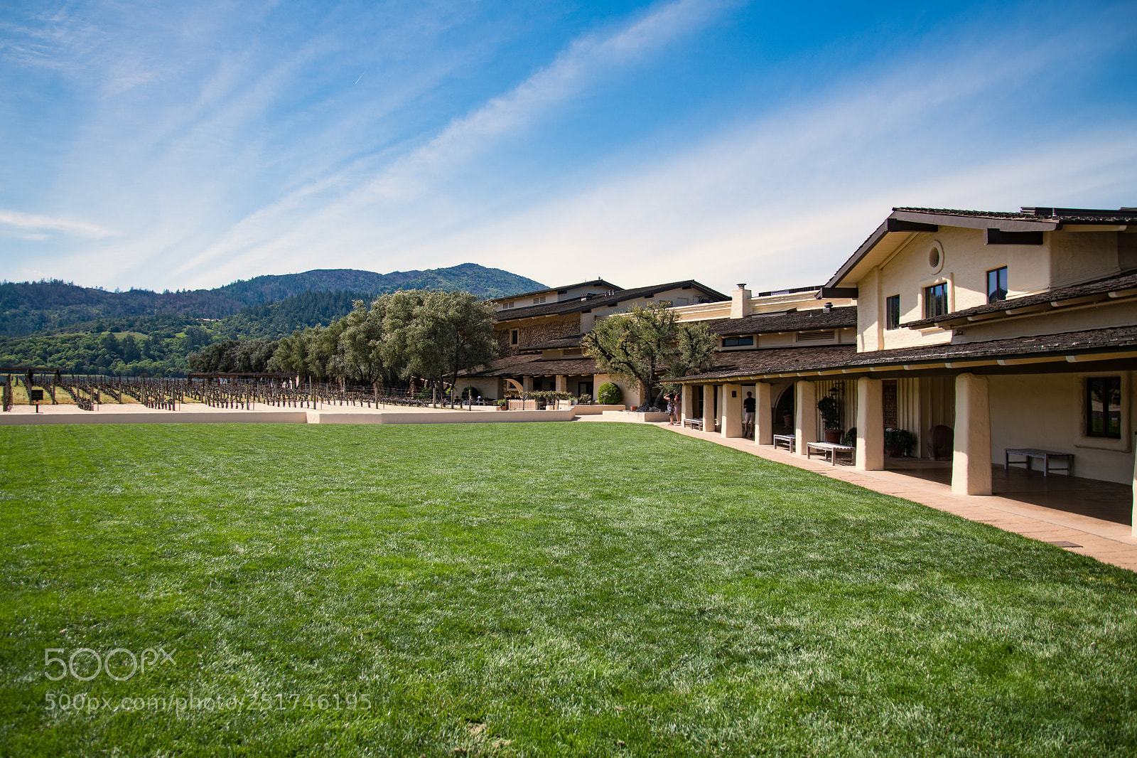 Nikon D850 sample photo. Mondavi winery photography