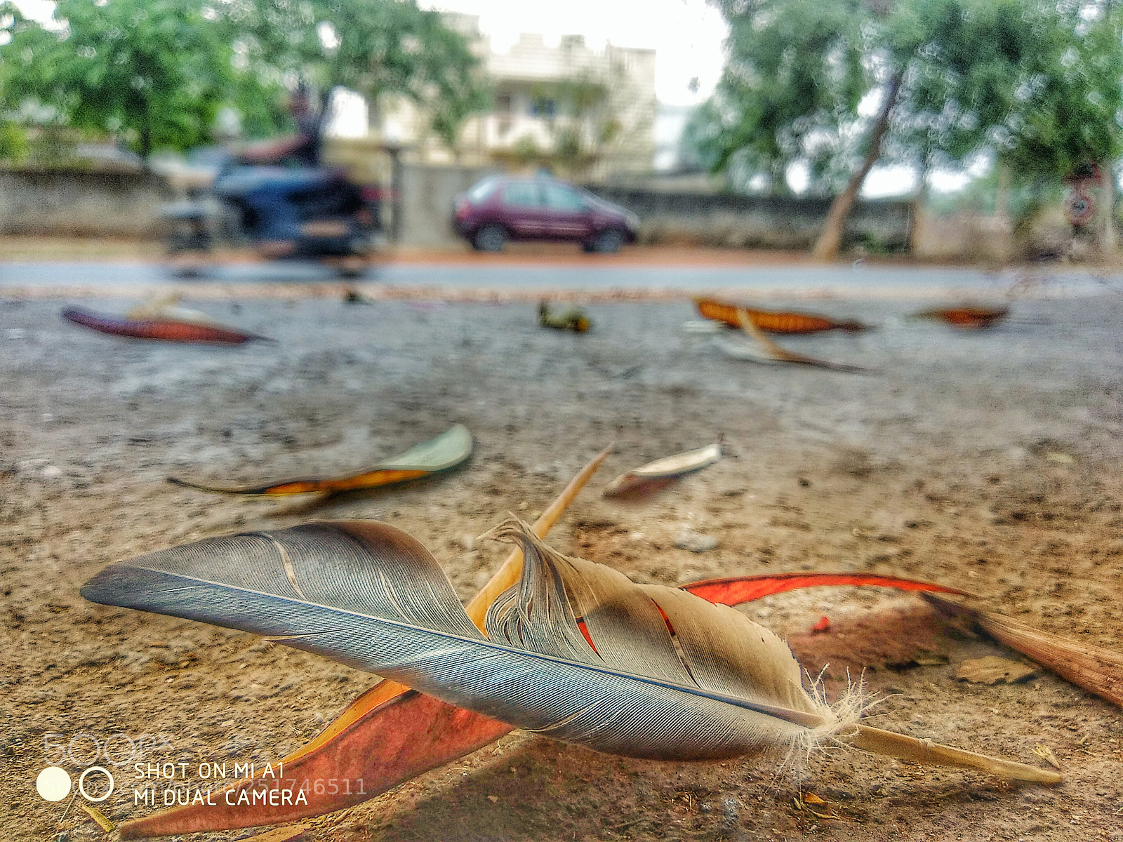 Xiaomi Mi A1 sample photo. Untitled photography