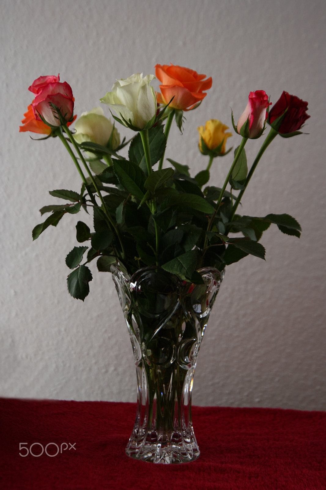 Canon EOS 5D + Canon EF 24-105mm F3.5-5.6 IS STM sample photo. Colorful roses photography