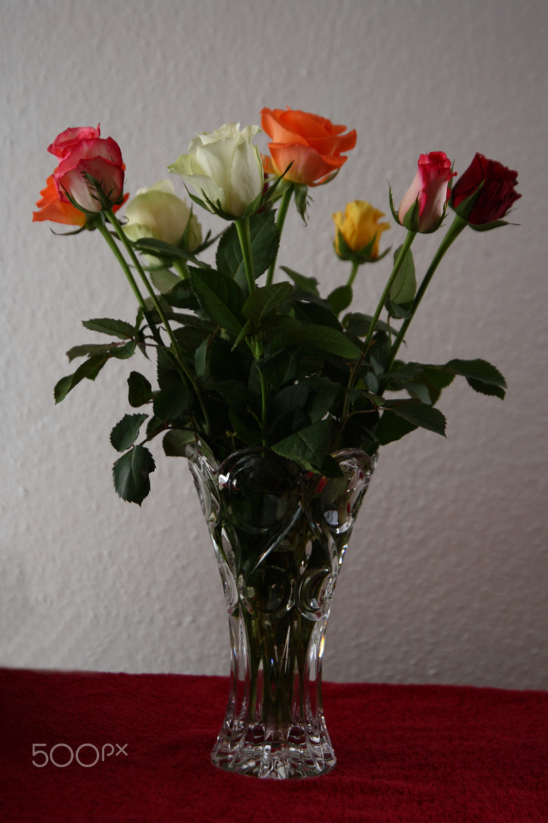 Canon EF 24-105mm F3.5-5.6 IS STM sample photo. Colorful roses photography