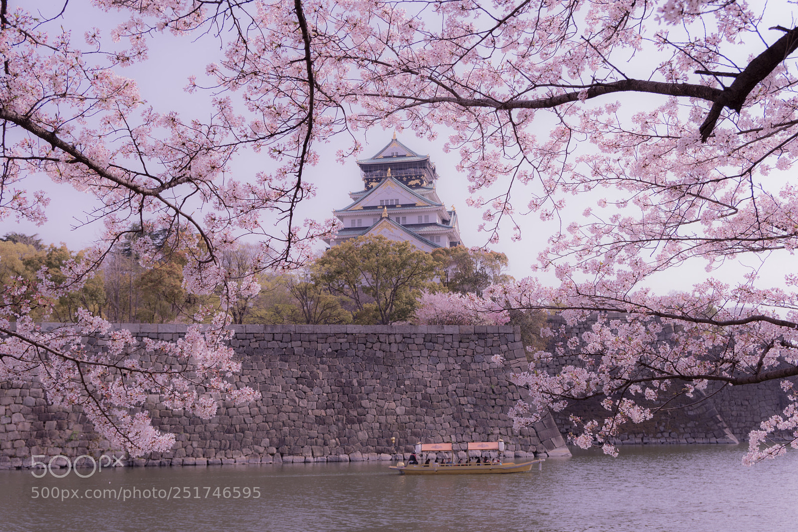 Nikon D7500 sample photo. 大阪城 桜 photography