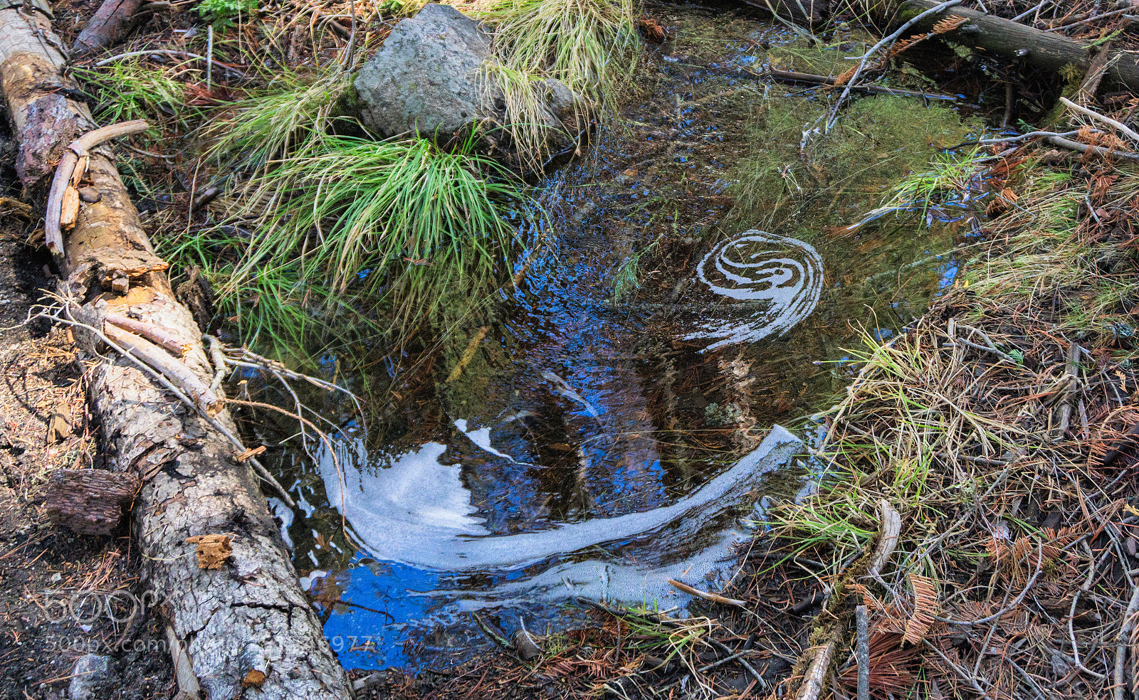Sony a6000 sample photo. Snow melt puddle swirl photography