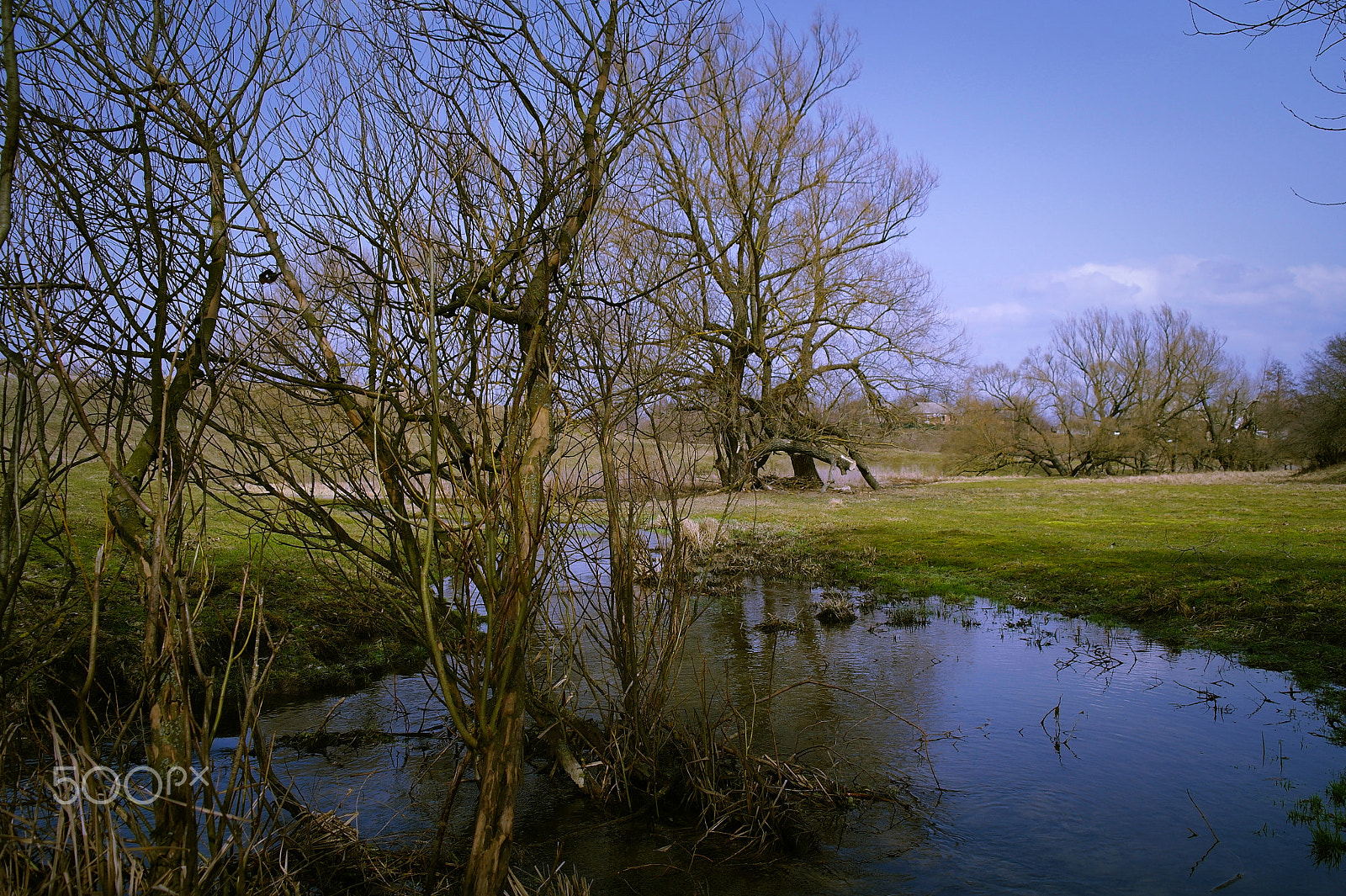 Samsung NX5 sample photo. Spring landscape photography