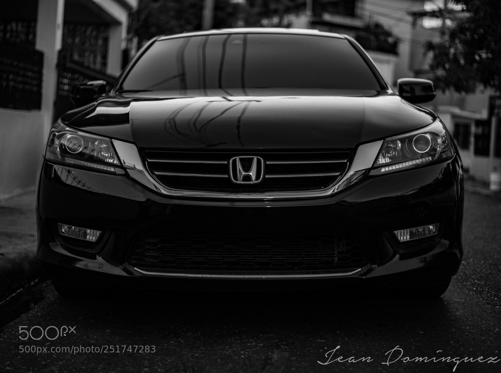 Nikon D800 sample photo. _8002374.jpg photography