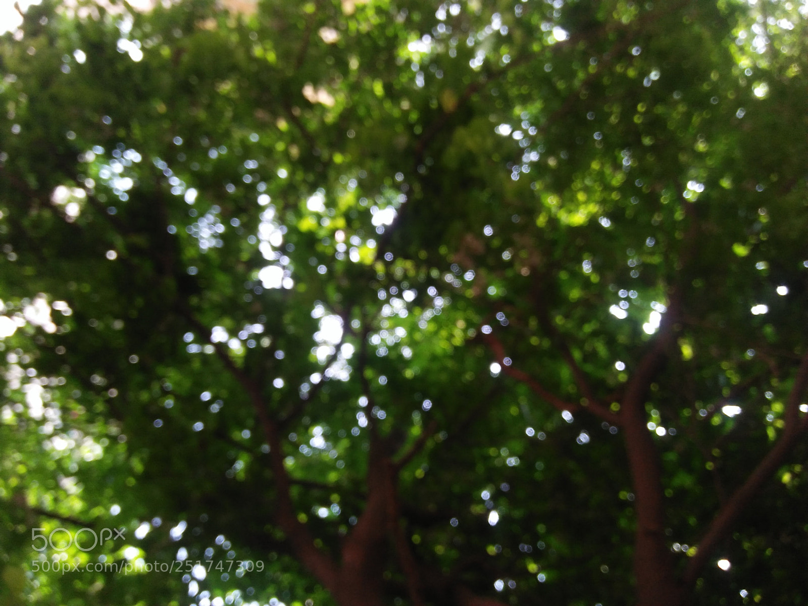 OPPO A37fw-International sample photo. Untitled photography