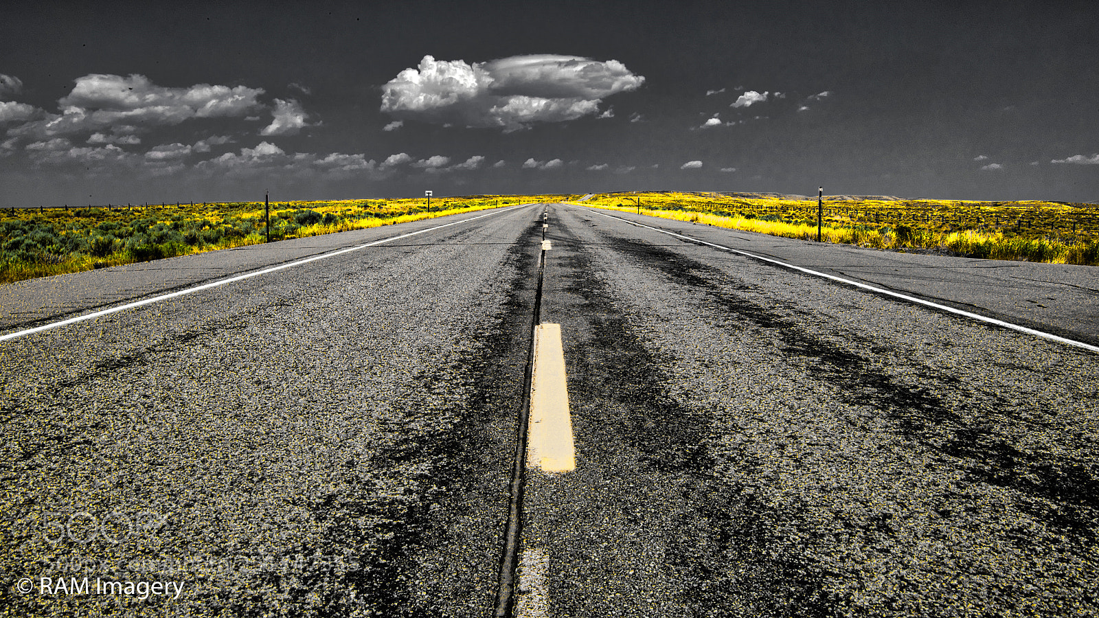 Canon EOS-1D X Mark II sample photo. The road least traveled photography