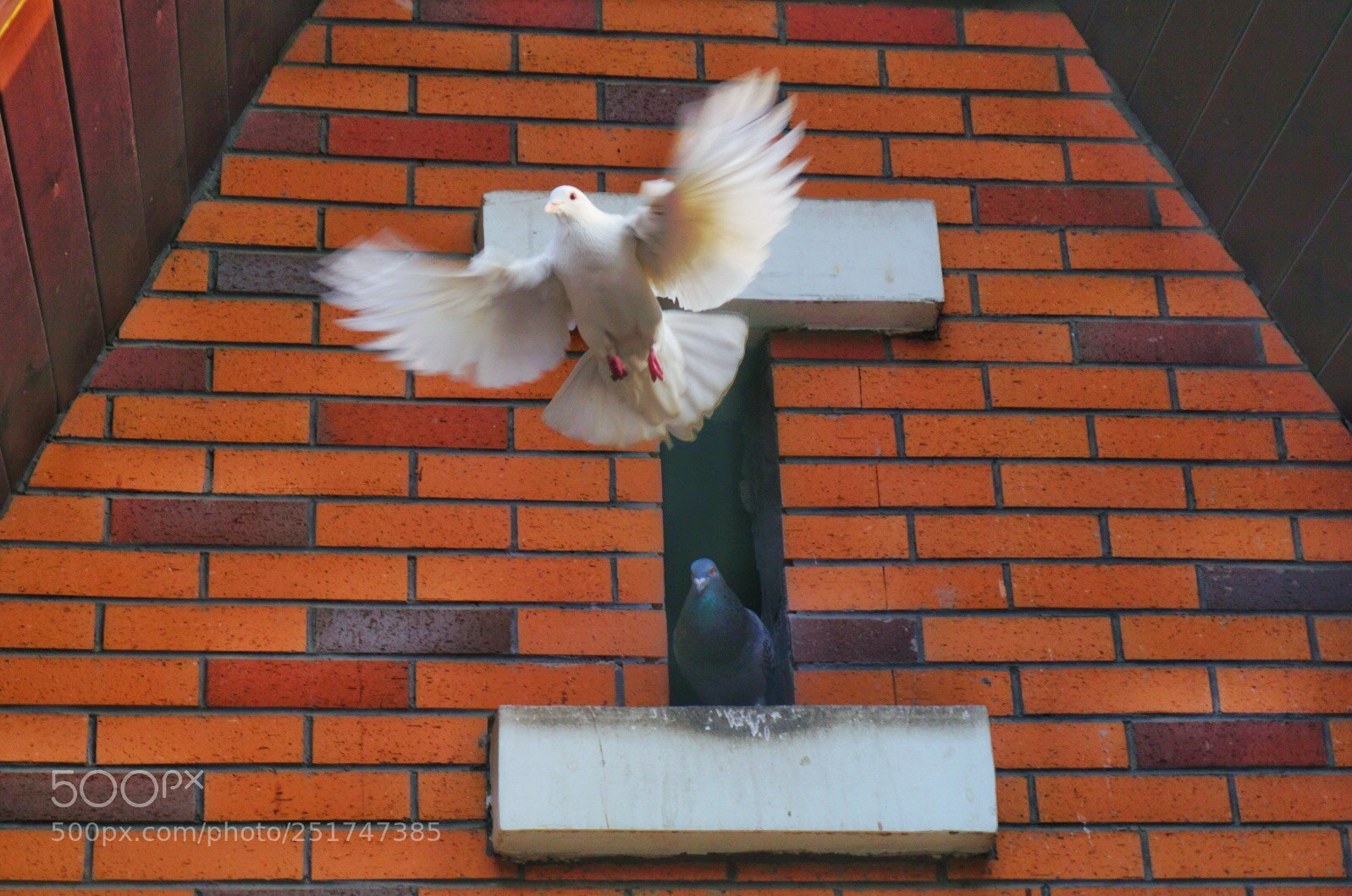Sony a6000 sample photo. Untitled photography