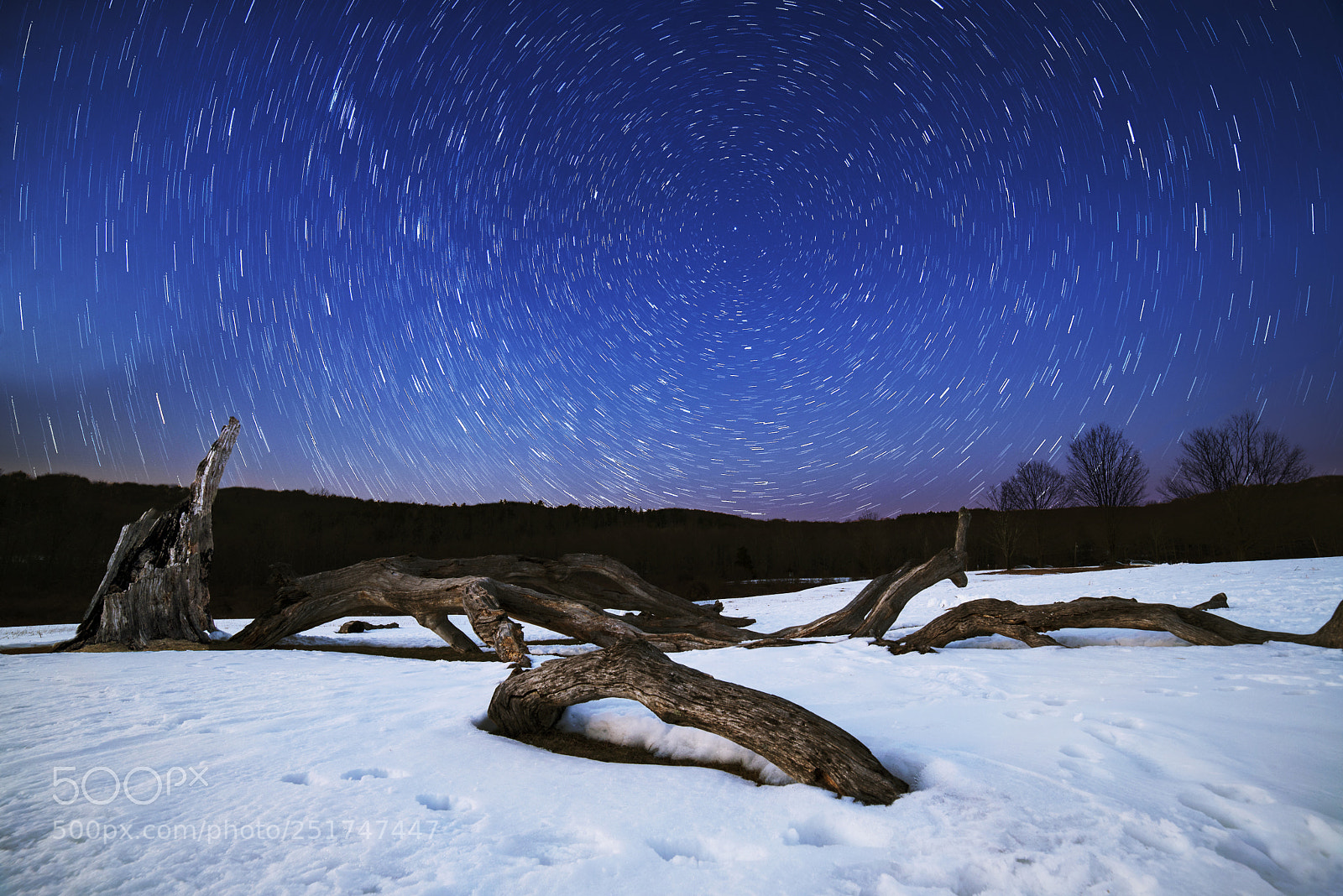 Nikon D610 sample photo. Park star trails photography