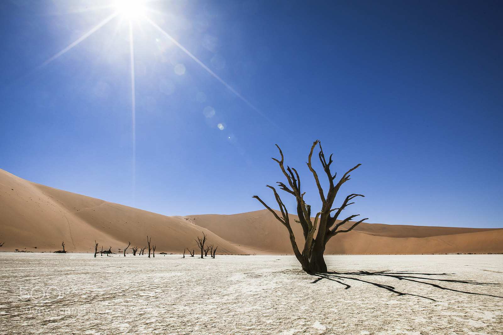 Canon EOS 5D Mark II sample photo. Deadvlei photography