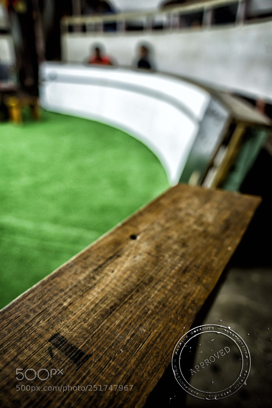 Nikon D600 sample photo. Pitt cas rus photography