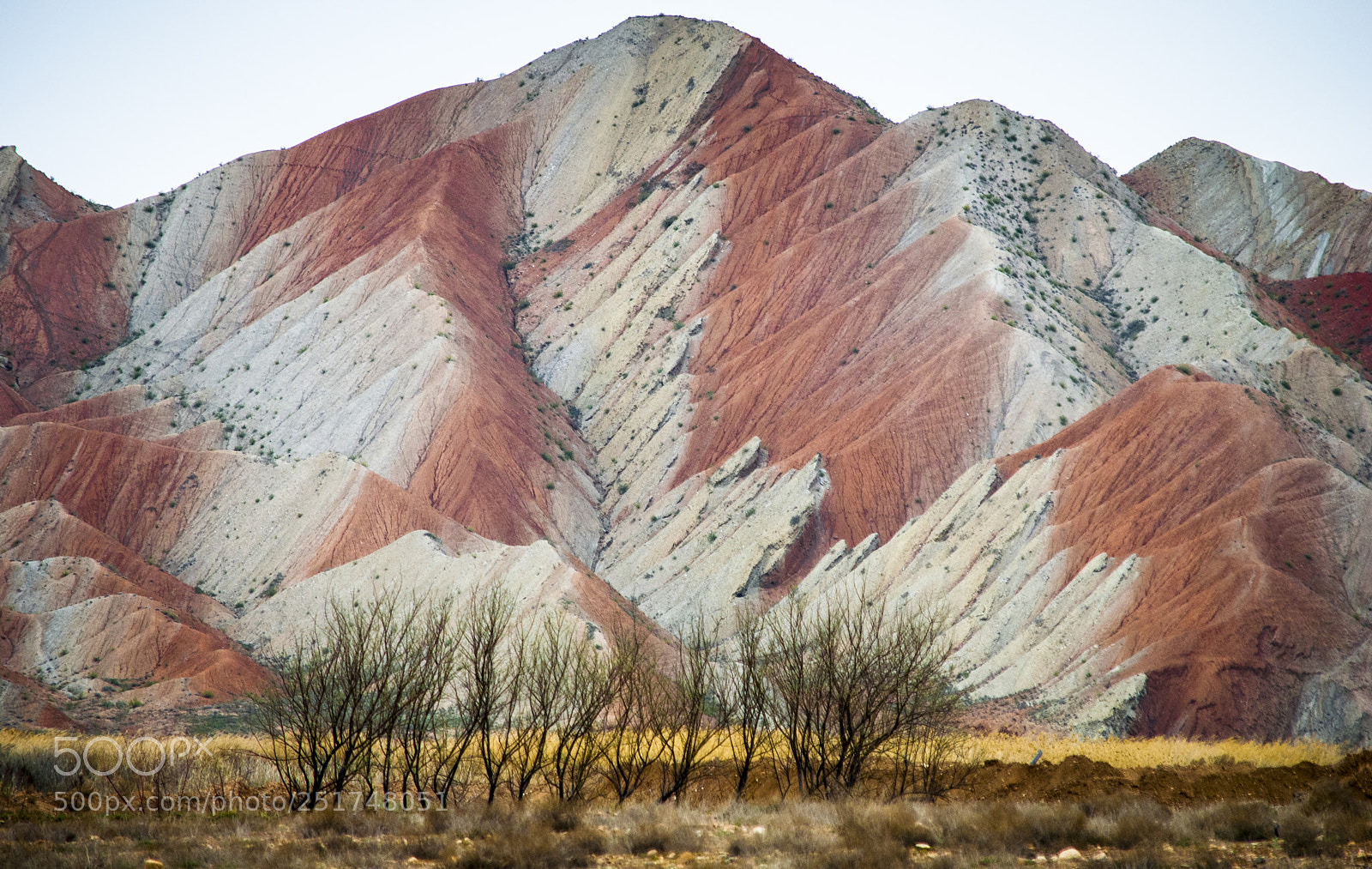 Nikon D60 sample photo. Colorfull sierra photography