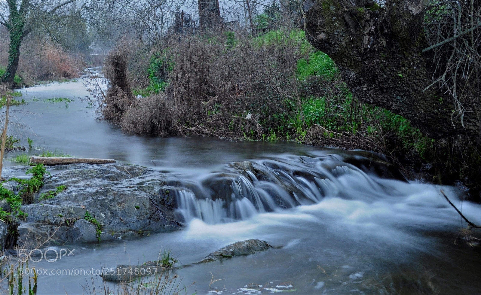 Nikon D5000 sample photo. It flows photography