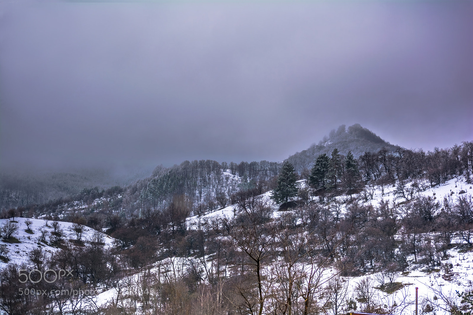 Nikon D5200 sample photo. My first 12 photos photography