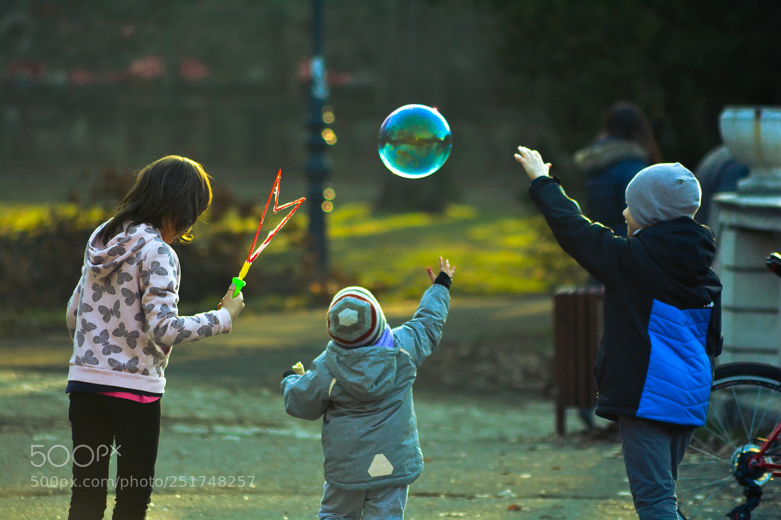 Nikon D5200 sample photo. My first 12 photos photography