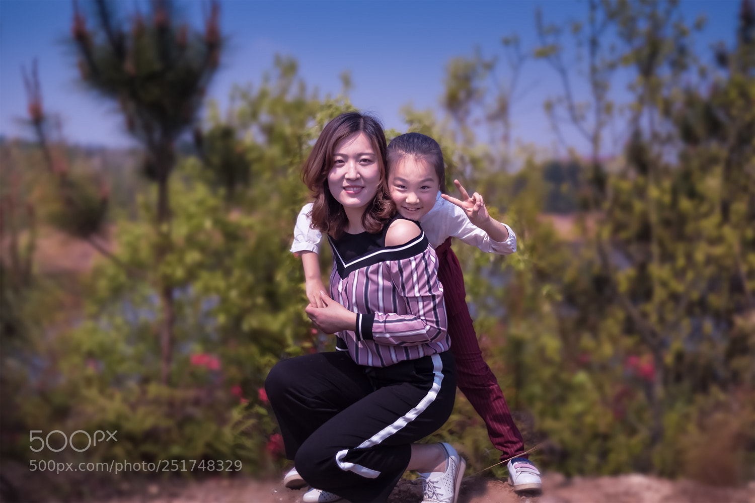 Canon EOS 5D Mark IV sample photo. Untitled photography