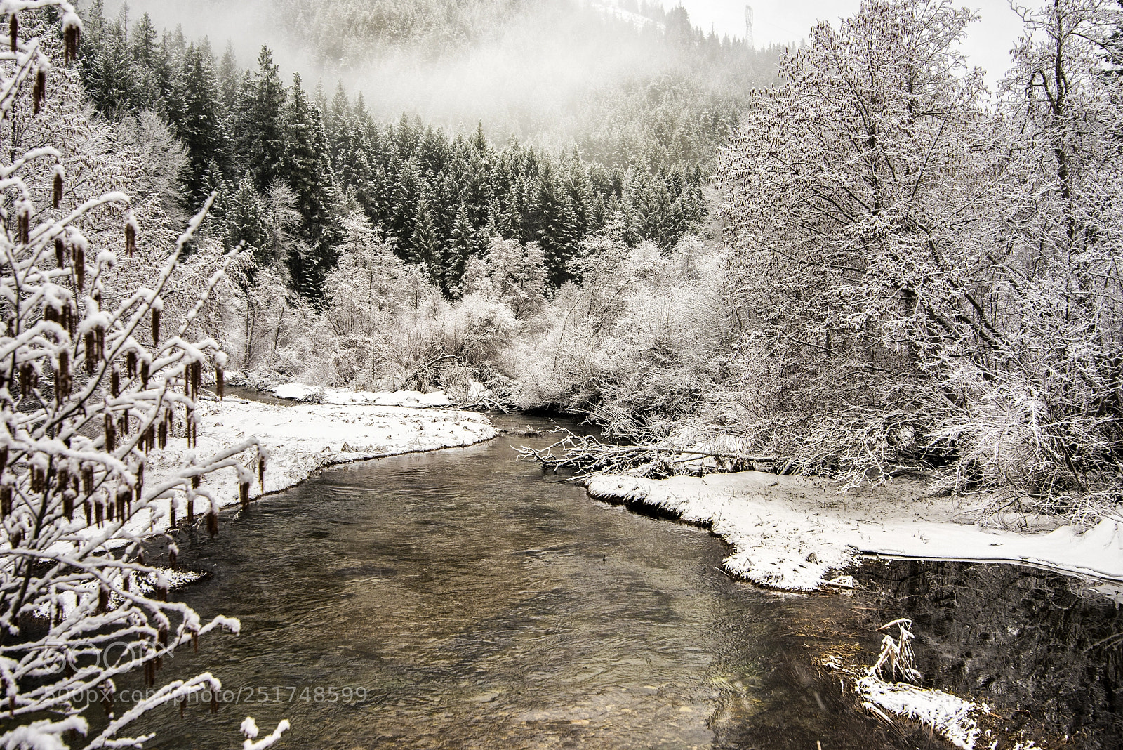 Nikon D800 sample photo. Nason creek photography