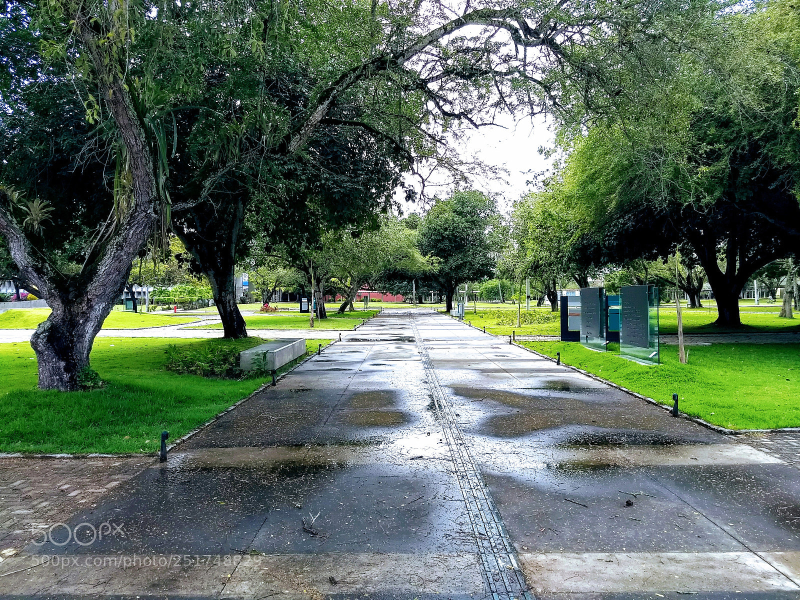Motorola Moto G (5) Plus sample photo. Pra a memorial da photography