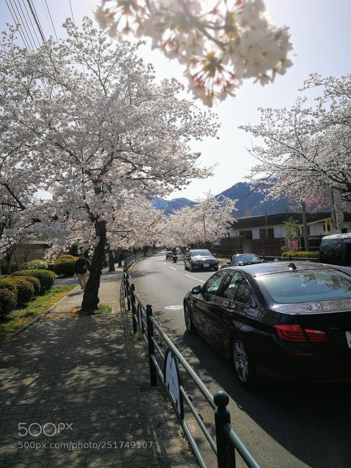 HUAWEI Mate 9 sample photo. 北桜通り photography