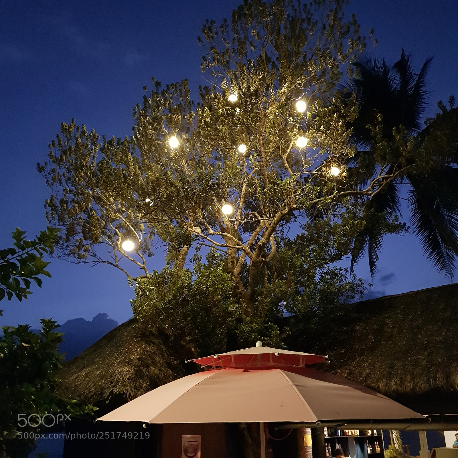 Samsung Galaxy S8 sample photo. The night gave it photography