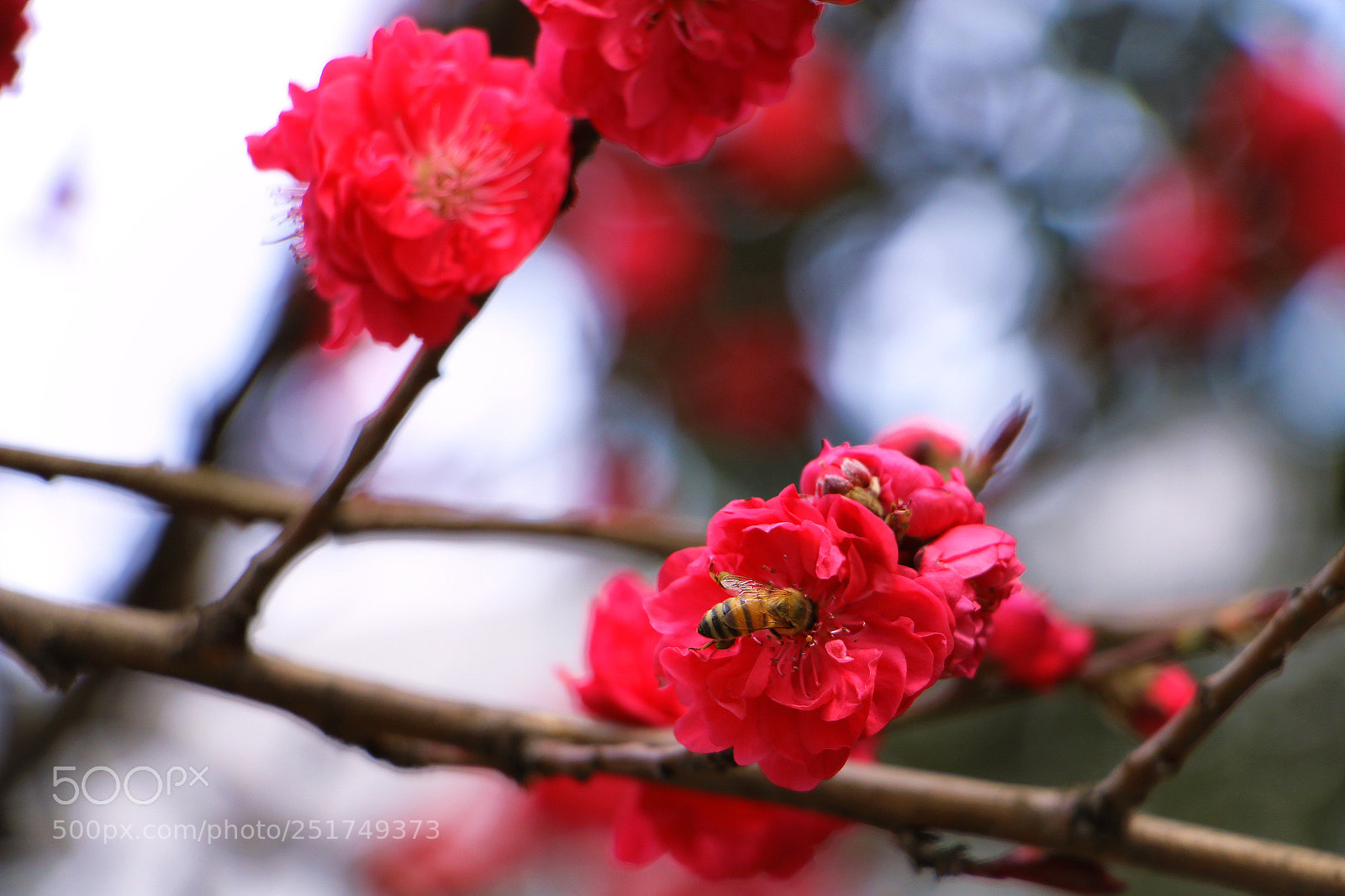 Canon EOS 70D sample photo. Untitled photography