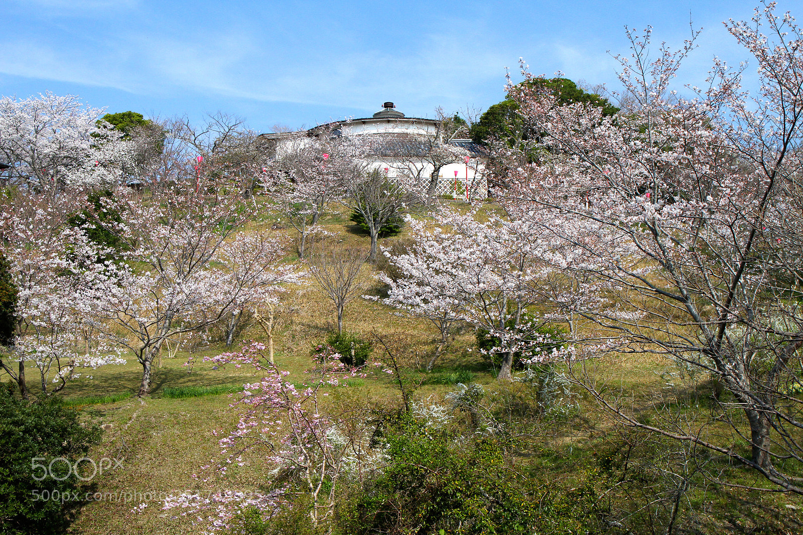 Canon EOS 7D sample photo. 平草原公園 photography