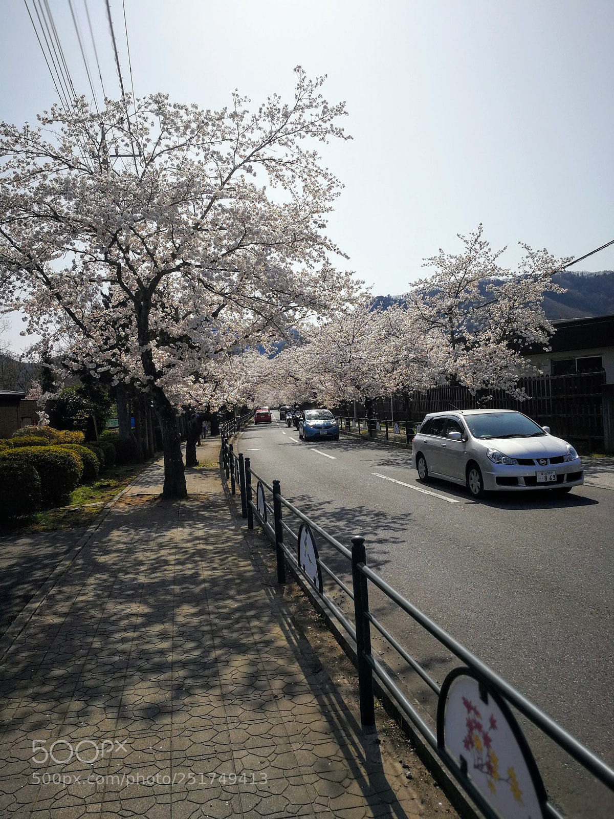 HUAWEI Mate 9 sample photo. 北桜通り photography