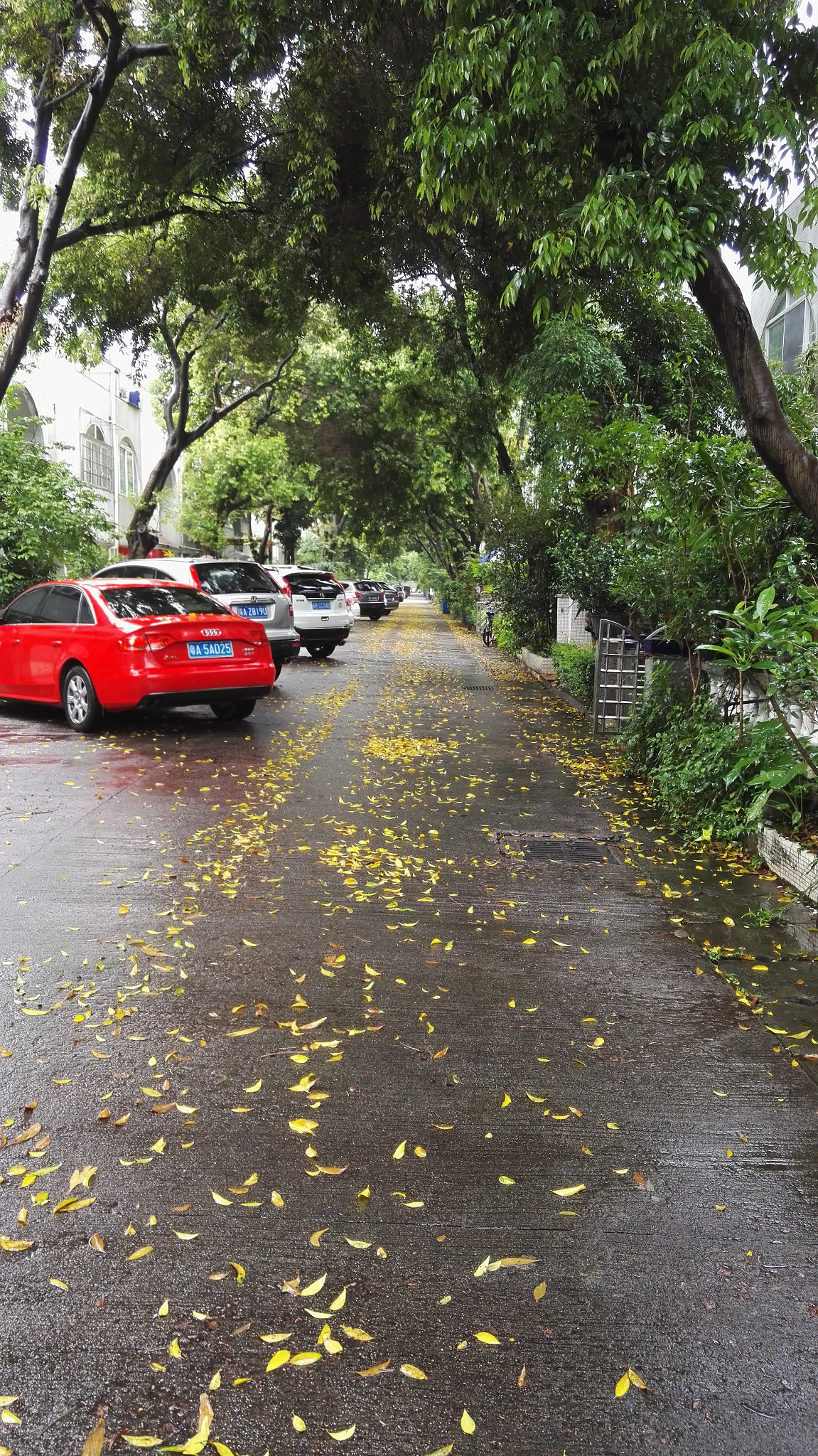 HUAWEI Honor 7 sample photo. 停下照了一张 photography