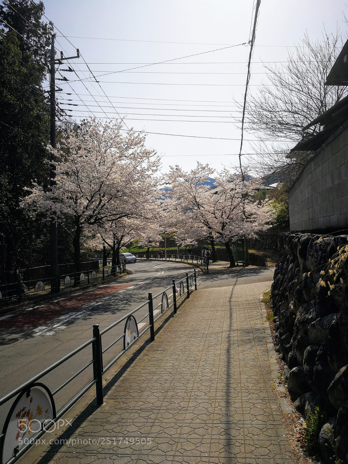 HUAWEI Mate 9 sample photo. 北桜通り photography