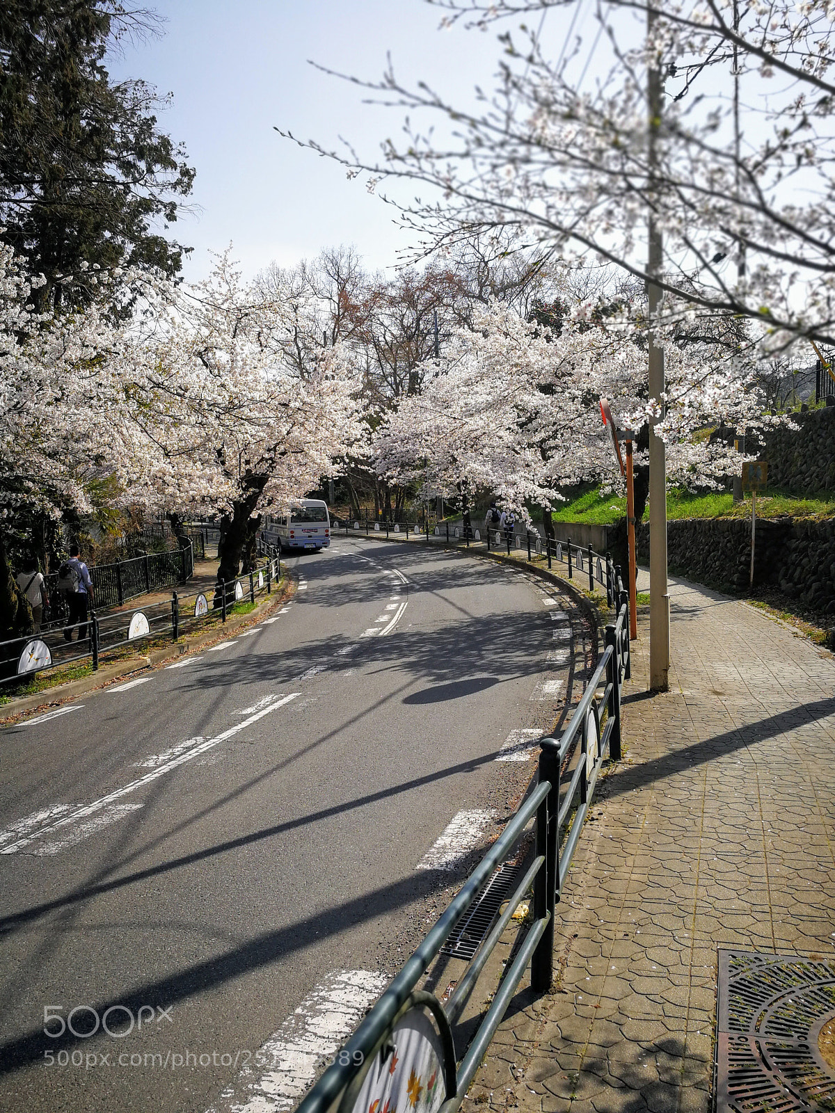 HUAWEI Mate 9 sample photo. 北桜通り photography