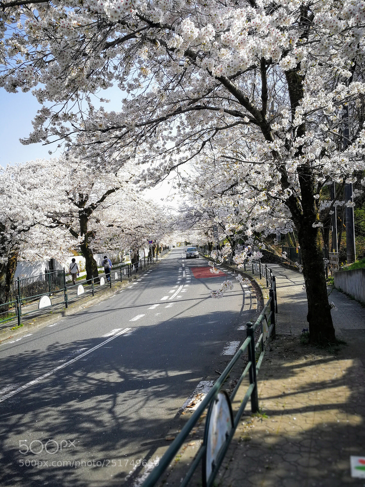 HUAWEI Mate 9 sample photo. 北桜通り photography