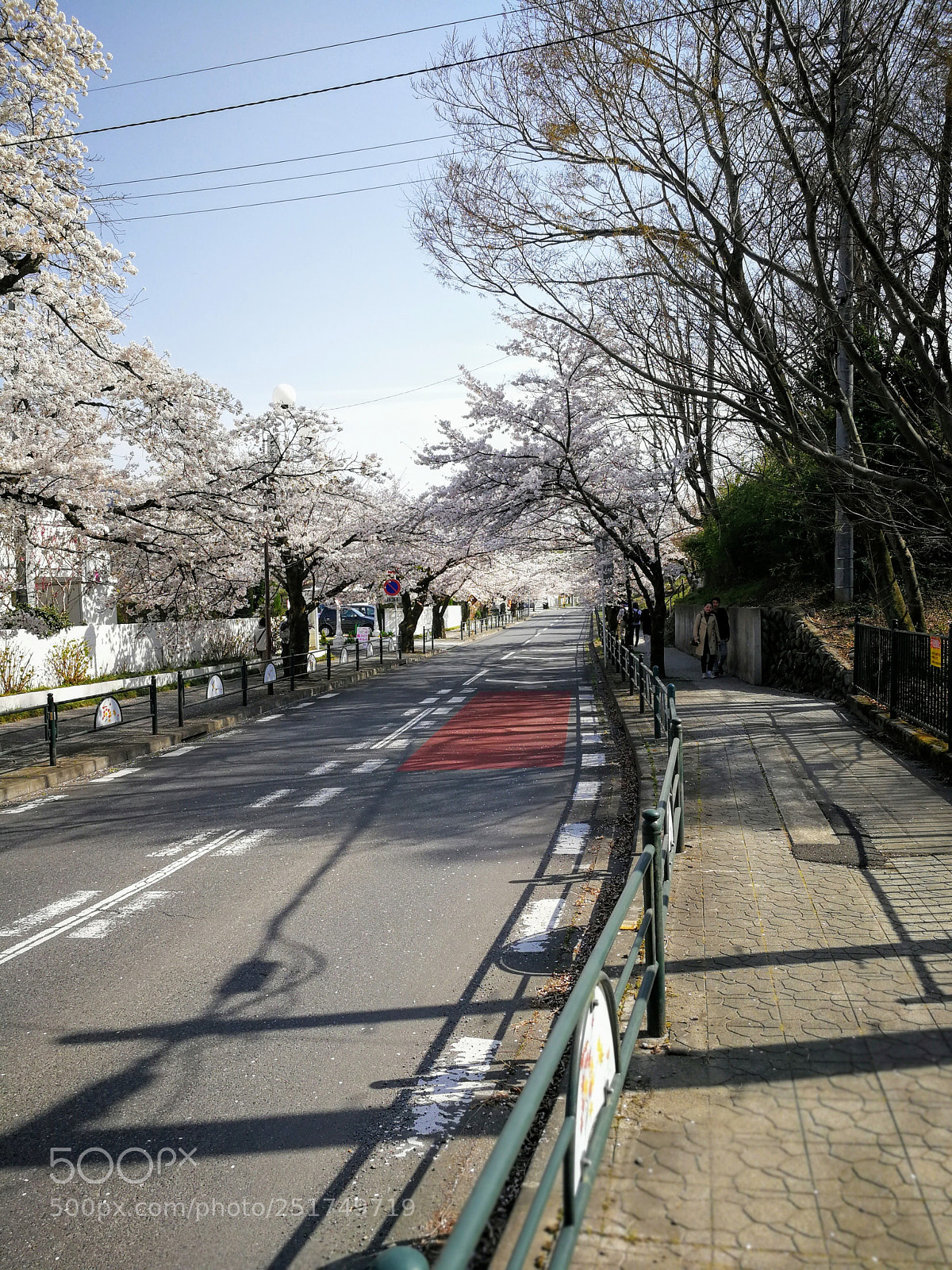 HUAWEI Mate 9 sample photo. 北桜通り photography
