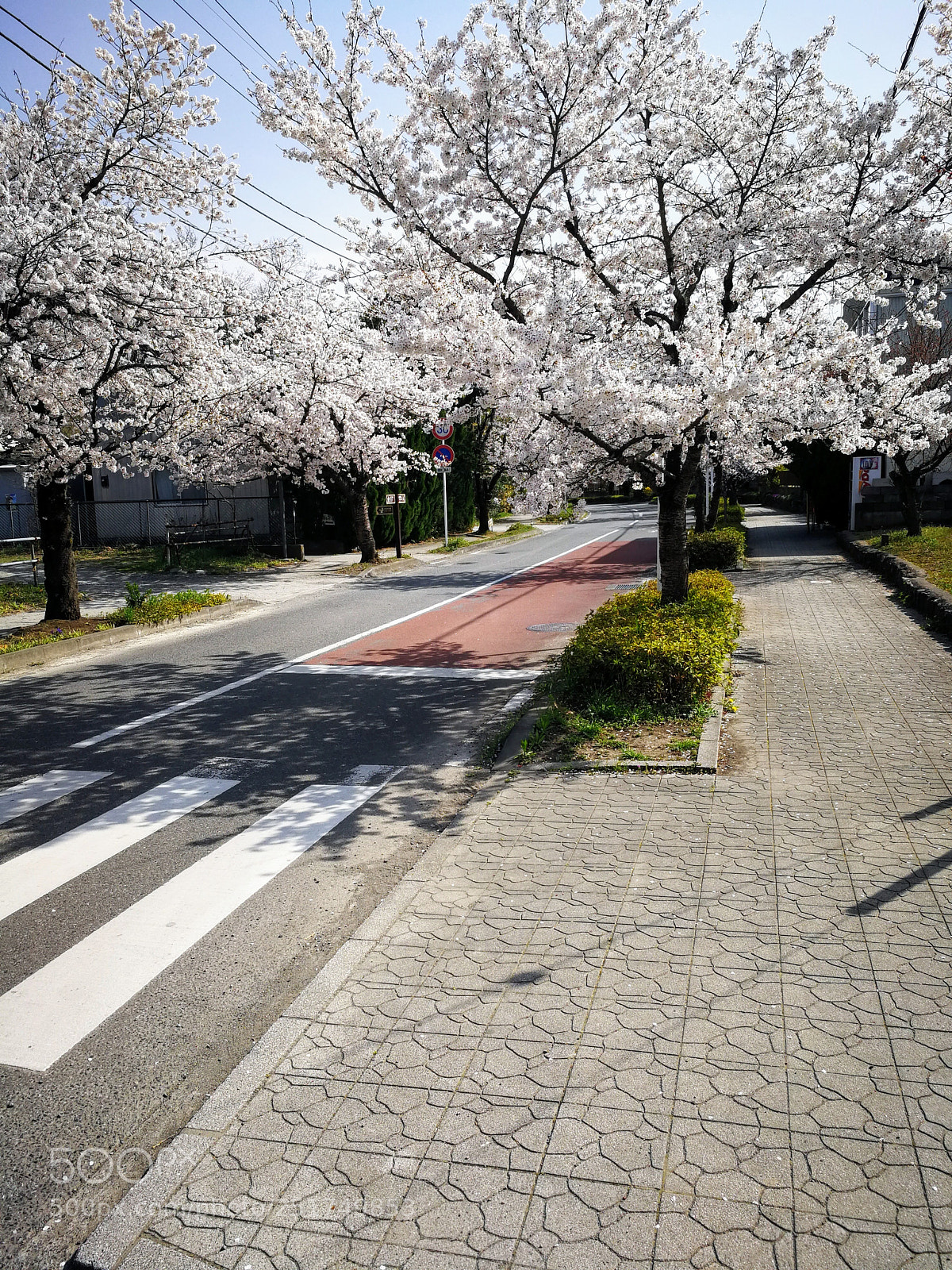 HUAWEI Mate 9 sample photo. 北桜通り photography