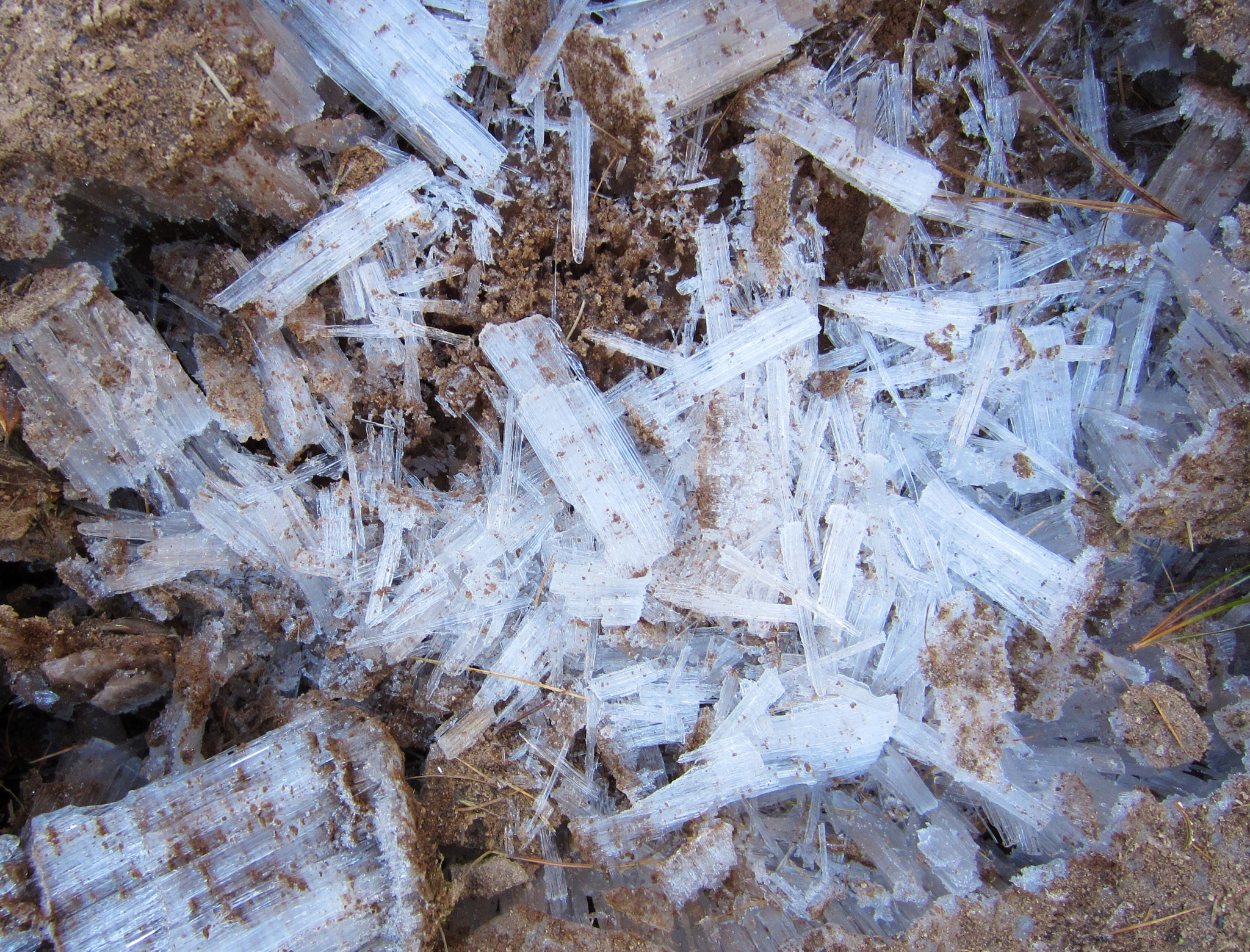 Canon PowerShot ELPH 300 HS (IXUS 220 HS / IXY 410F) sample photo. Frozen photography