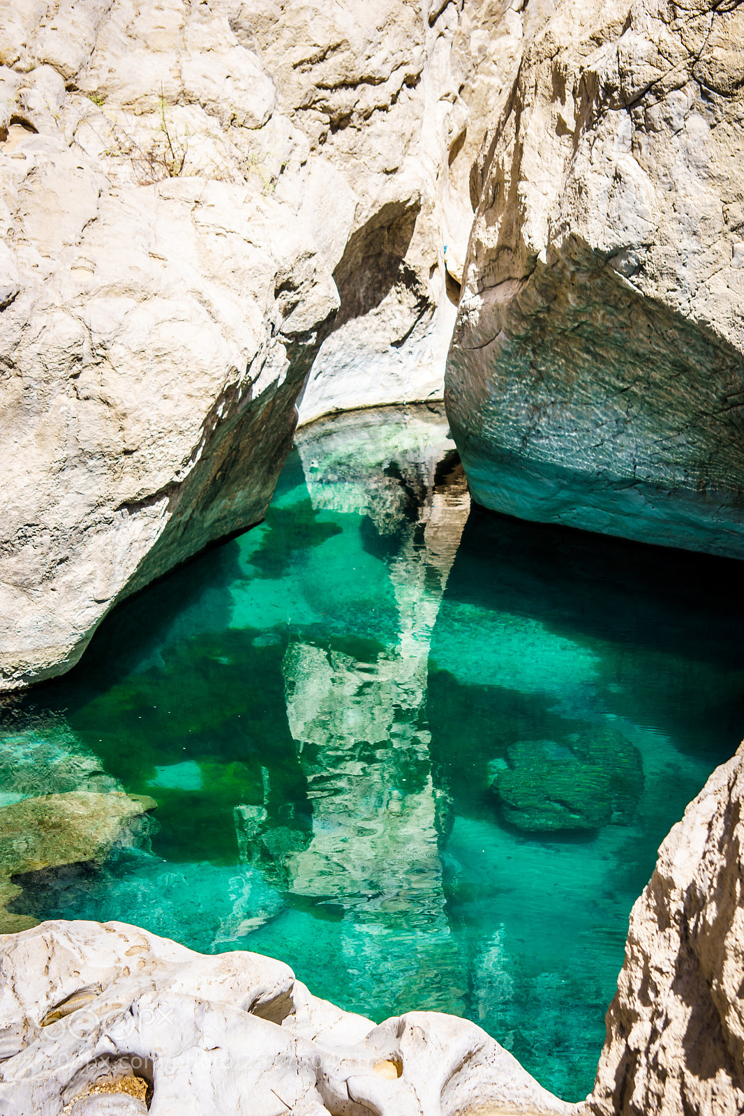 Sony ILCA-77M2 sample photo. Cool water basin in photography